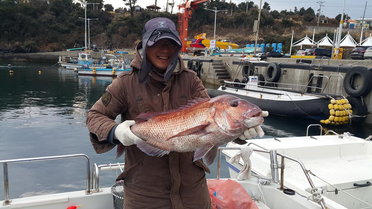 Seong Ge Dol Pension Seogwipo Exteriör bild